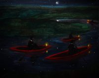 Katarzyna Karpowicz: Czerwone łódki